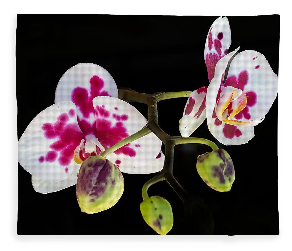Orchid Fleece Blanket featuring the photograph Orchid Transparency by Richard Goldman