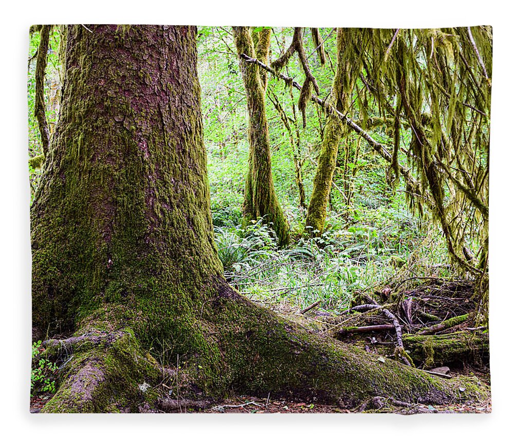 Oregon Fleece Blanket featuring the photograph Oregon Rainforest by Bonny Puckett
