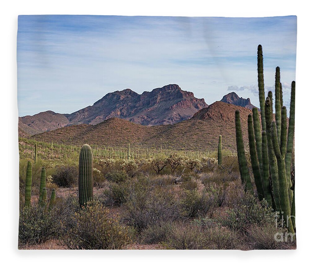 Desert Southwest Fleece Blanket featuring the photograph Organ Pipe Cactus National Monument by Jeff Hubbard