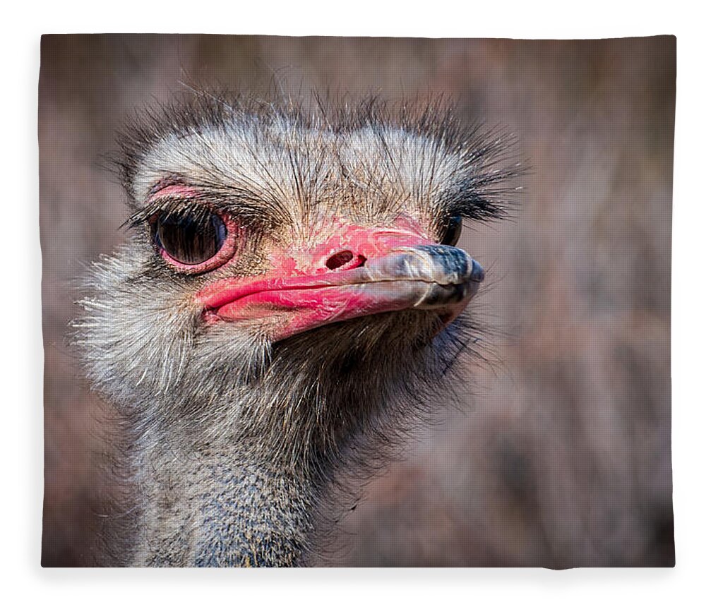 Ostrich Out Of Africa Fstop101 Fleece Blanket featuring the photograph Ostrich by Geno Lee