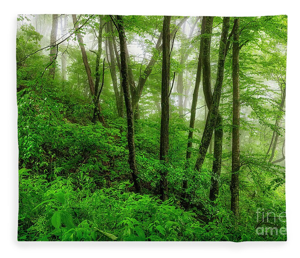 Blue Ridge Fleece Blanket featuring the photograph Our Enchanting Blue Ridges by Shelia Hunt