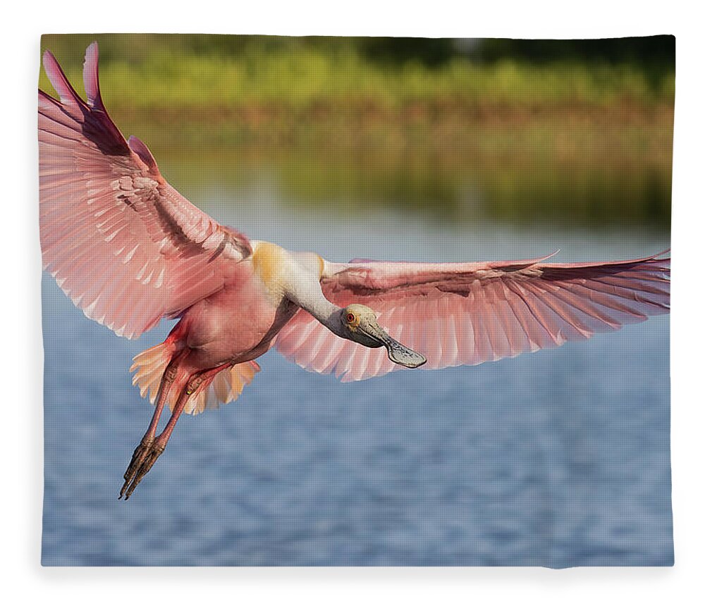 Roseate Spoonbill Fleece Blanket featuring the photograph Outstretched by RD Allen