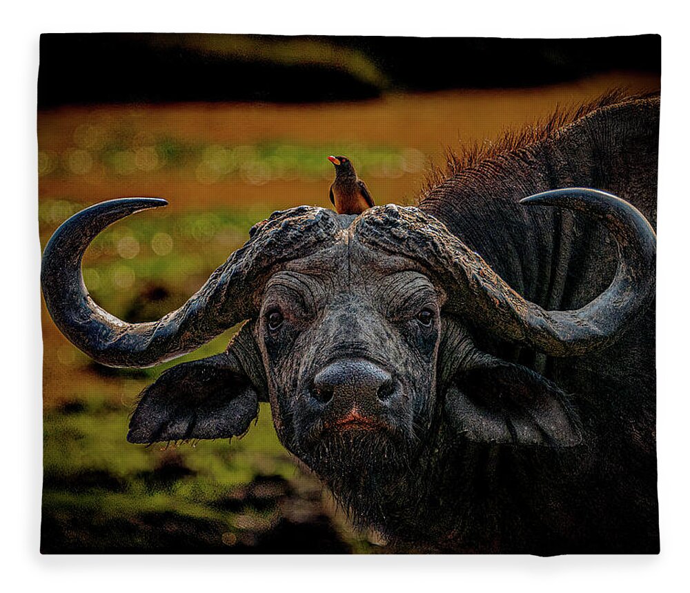 Cape Buffalo Fleece Blanket featuring the photograph Ox Pecker by Darcy Dietrich