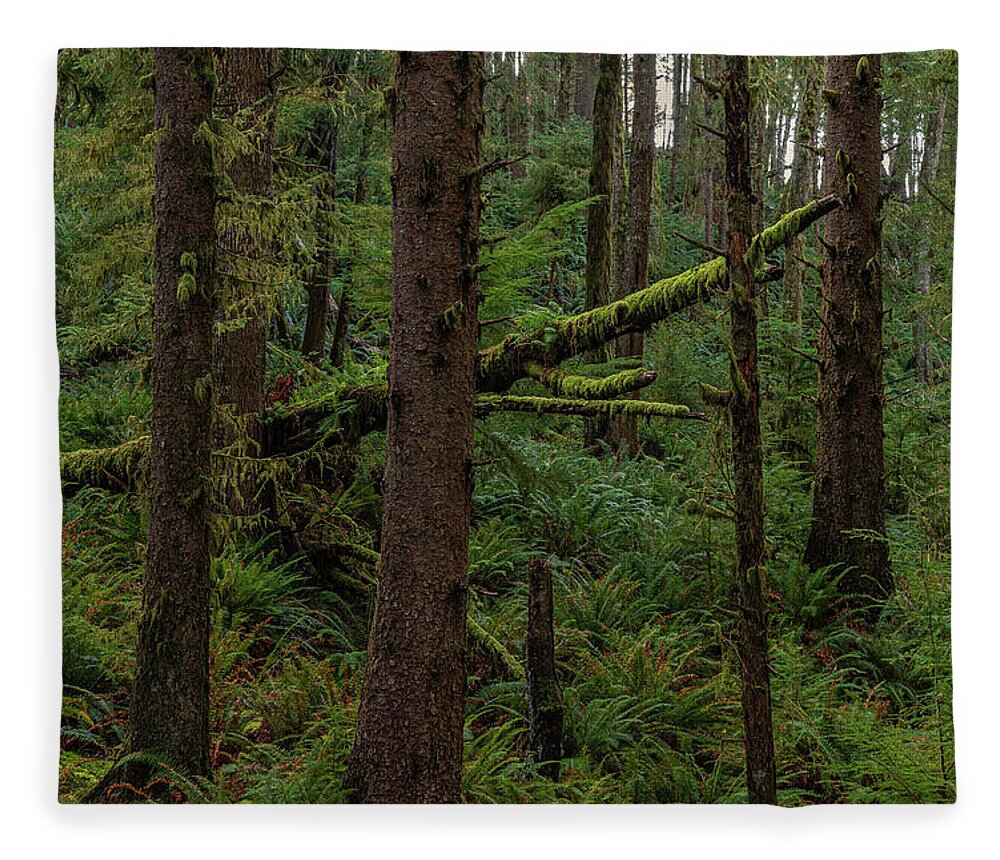 Cannon Beach Fleece Blanket featuring the photograph Pacific coast forest. by Ulrich Burkhalter