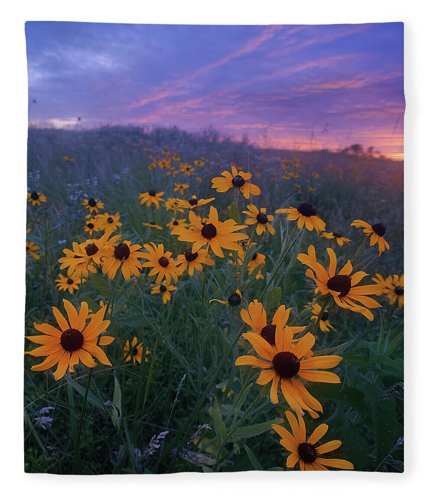 Conservation Area Fleece Blanket featuring the photograph Paintbrush Prairie III by Robert Charity