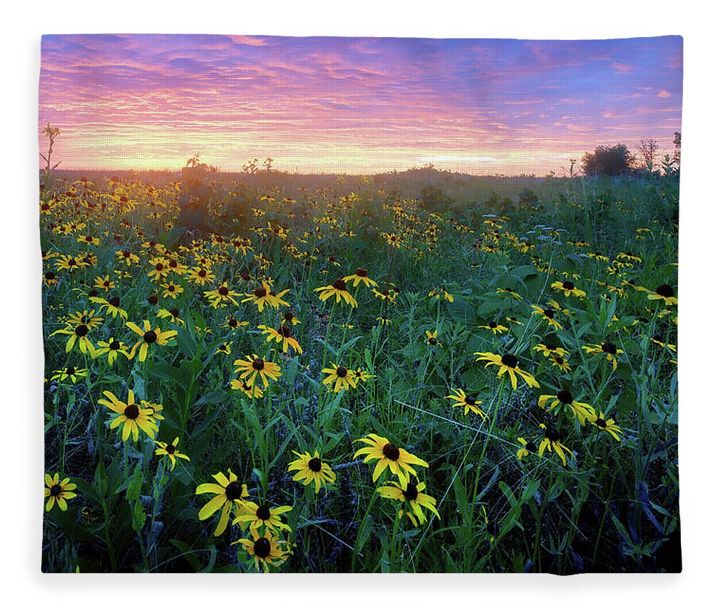 Conservation Area Fleece Blanket featuring the photograph Paintbrush Prairie IV by Robert Charity