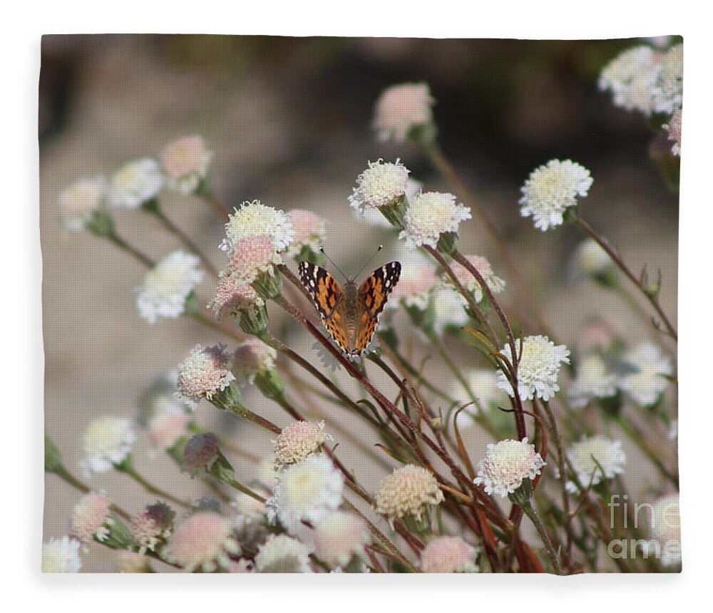Wedding Fleece Blanket featuring the photograph Painted Lady on Wild Pincushion Flower in Coachella Valley Wildlife Preserve by Colleen Cornelius