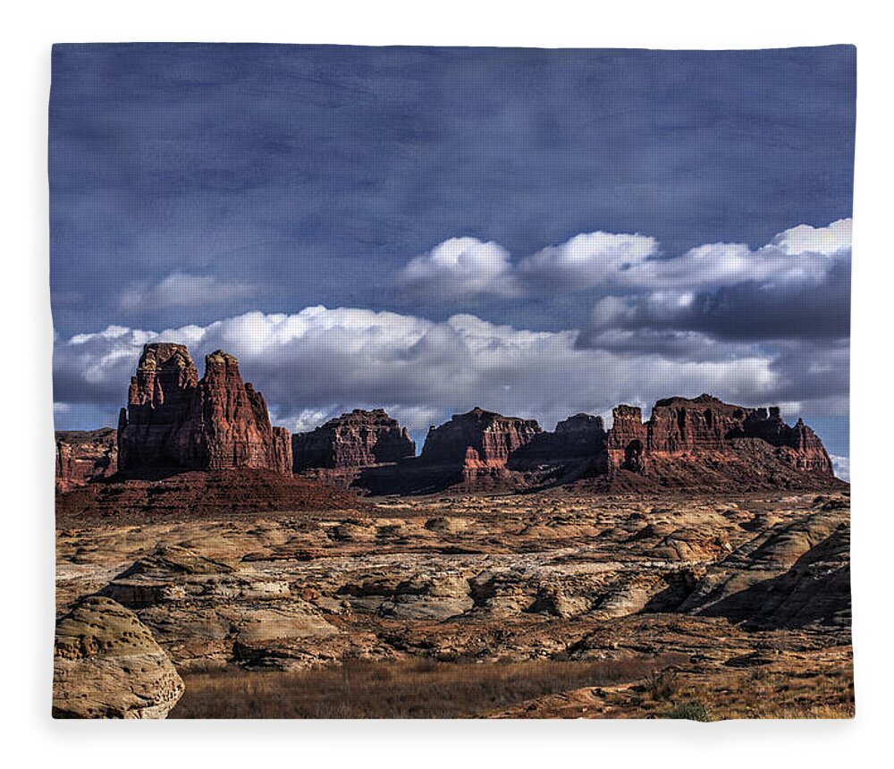 Arches National Park Fleece Blanket featuring the photograph Painted Sky Over the Petrified Dunes by Wayne King