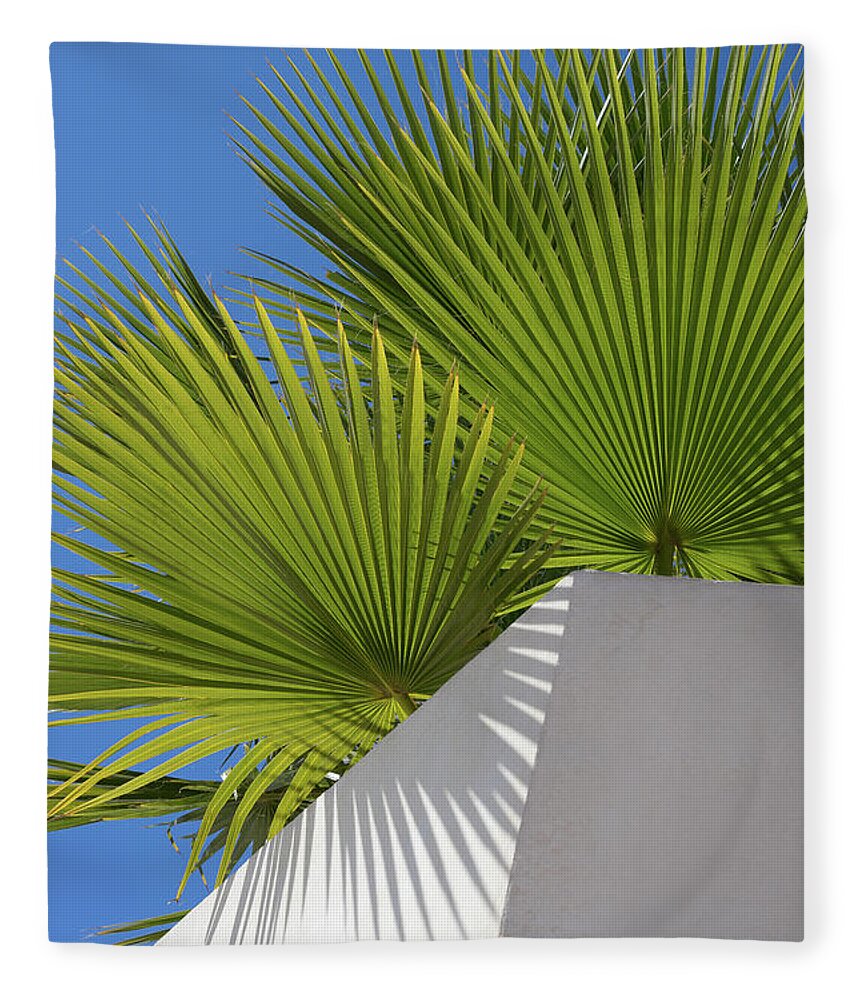 Palm Leaf Fleece Blanket featuring the photograph Green palm leaves, blue sky and white wall of a modern finca 1 by Adriana Mueller
