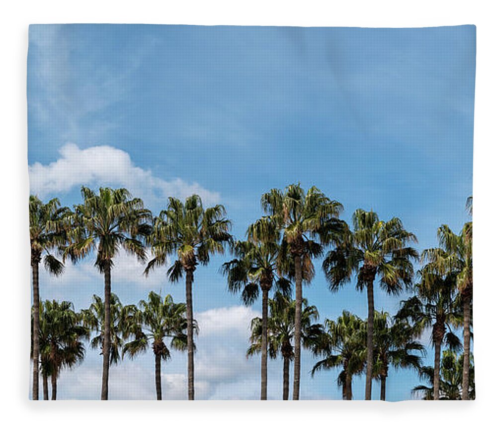 Palm Tree Fleece Blanket featuring the photograph Palm trees against blue sky, at tropical coast by Michalakis Ppalis