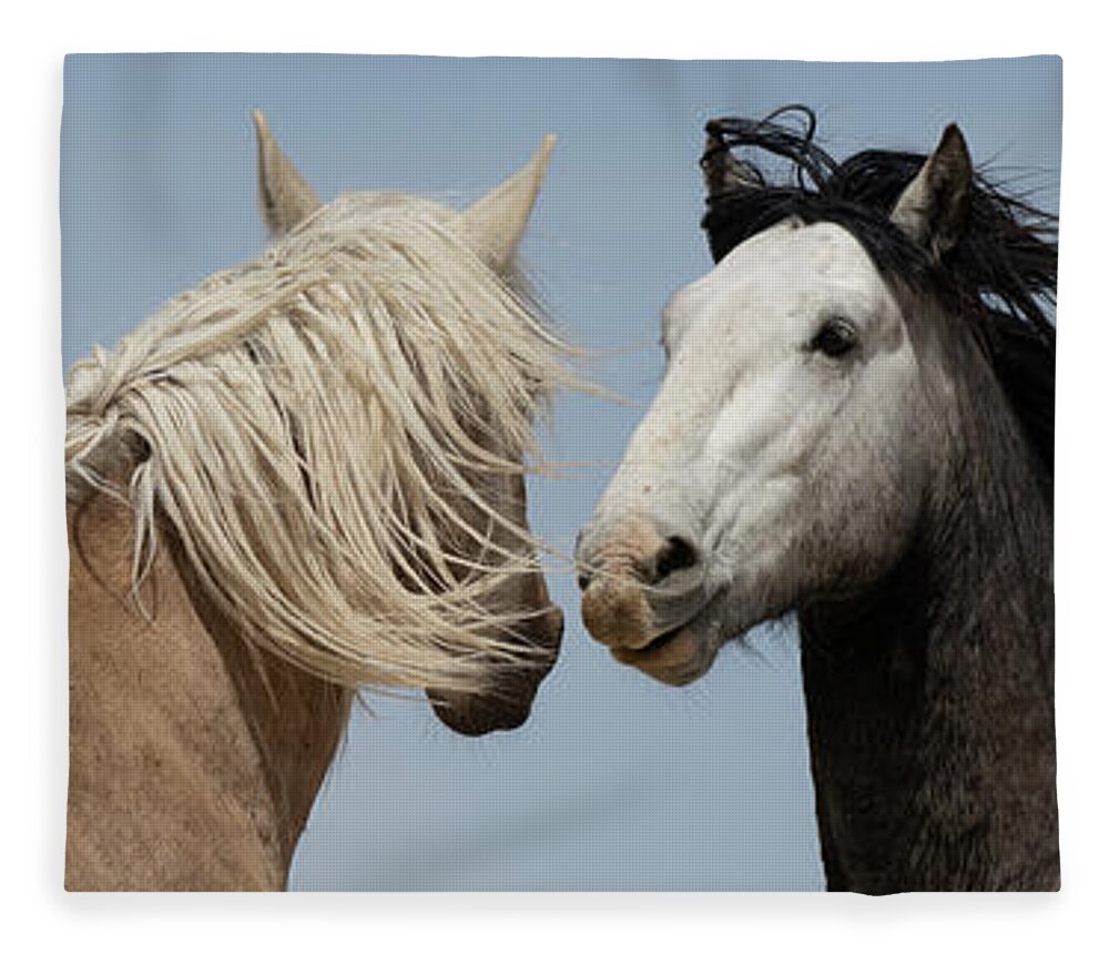 Panorama Fleece Blanket featuring the photograph Palomino and a Gray by Mary Hone