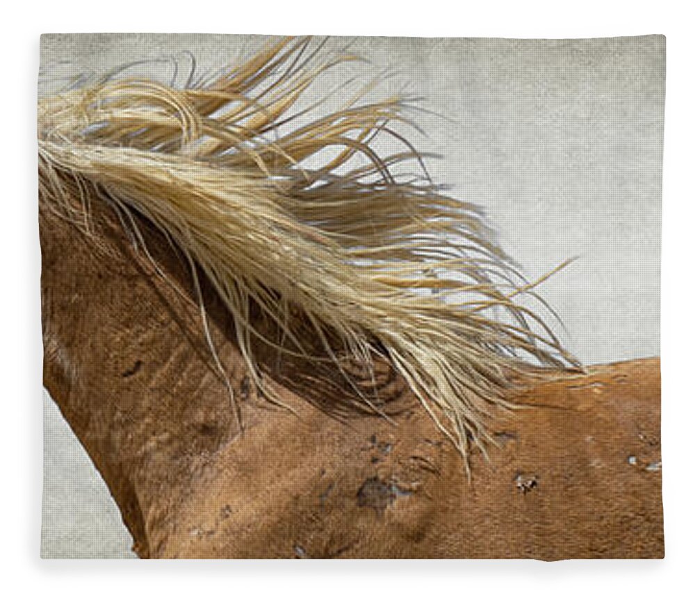 Wild Horses Fleece Blanket featuring the photograph Palomino Beauty by Mary Hone