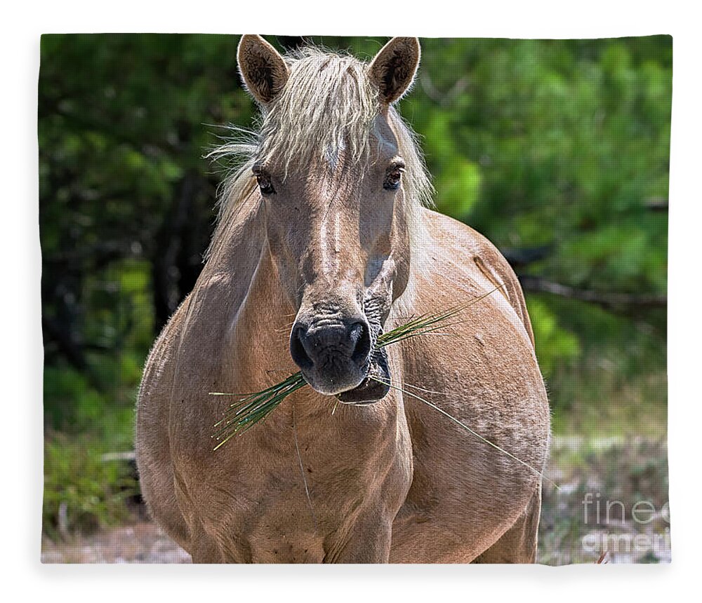 Horse Fleece Blanket featuring the photograph Palomino horse by Rehna George