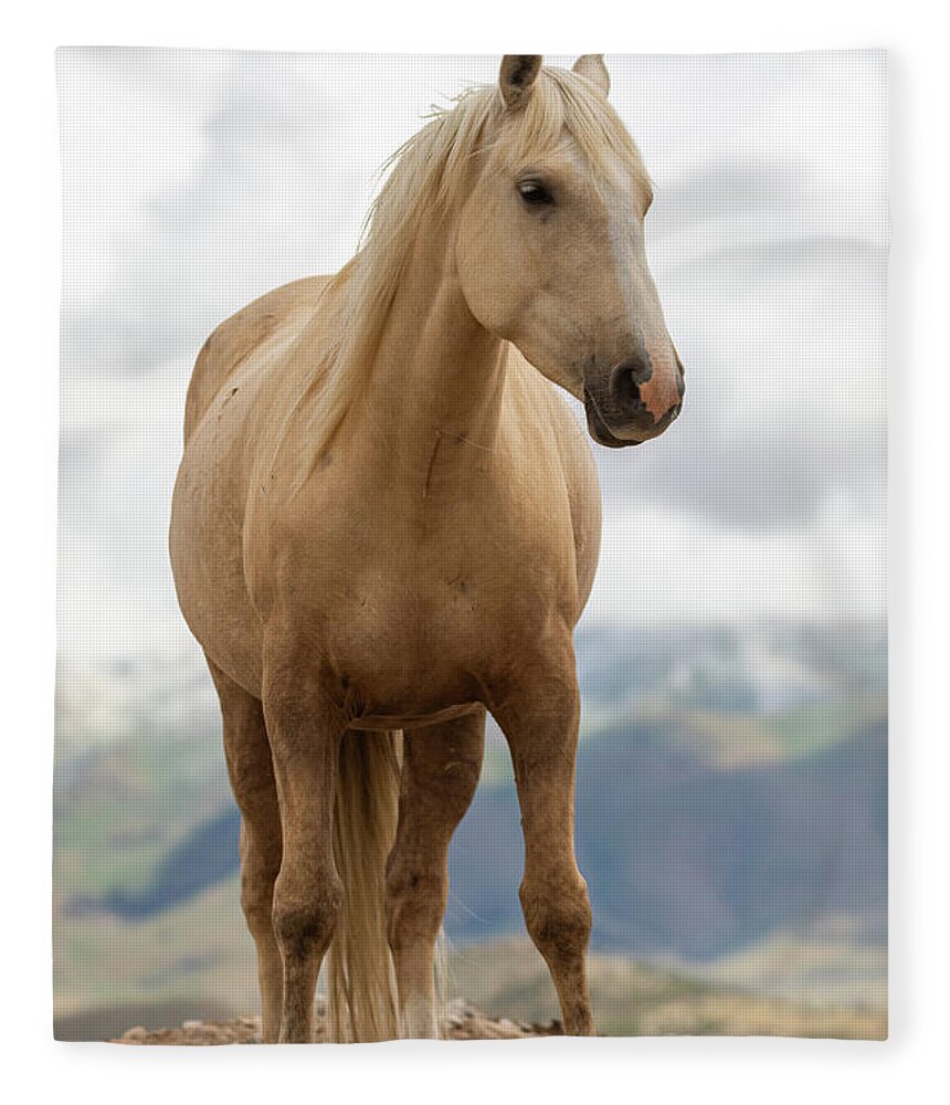 Horses Fleece Blanket featuring the photograph Palomino by Mary Hone