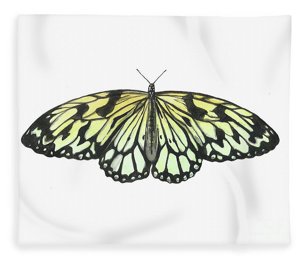 Butterfly Fleece Blanket featuring the painting Paper Kite Butterfly by Pamela Schwartz