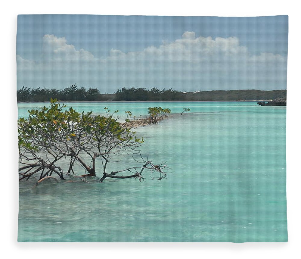 Caribbean Fleece Blanket featuring the photograph Caribbean Paradise in Turquoise Waters, Exuma Bahamas by Bonnie Colgan