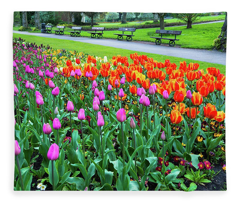 Bloom Fleece Blanket featuring the photograph Park Benches and Tulips to Brighten the Day by Dennis Dame