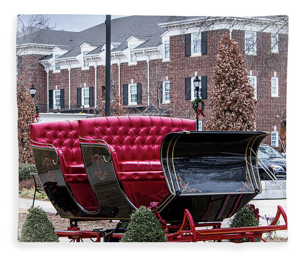 Sleigh Fleece Blanket featuring the photograph Parked Sleigh by Rick Nelson