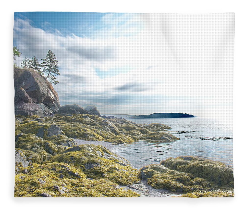 Partridge Island Fleece Blanket featuring the photograph Partridge Island Beach by Alan Norsworthy