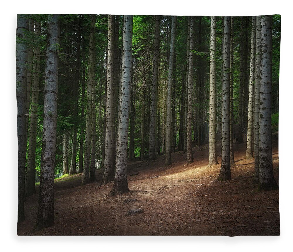 Forest Fleece Blanket featuring the photograph Silver Fir forest in Orecchiella Park by Stefano Orazzini