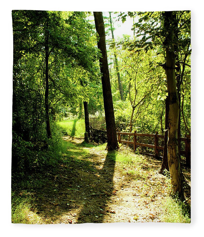Trees Fleece Blanket featuring the photograph Path out of Summer by Christopher Reed