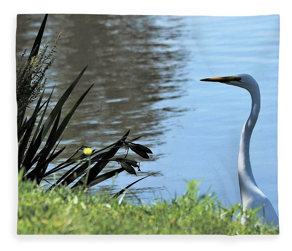 White Fleece Blanket featuring the photograph Patience 5 by C Winslow Shafer