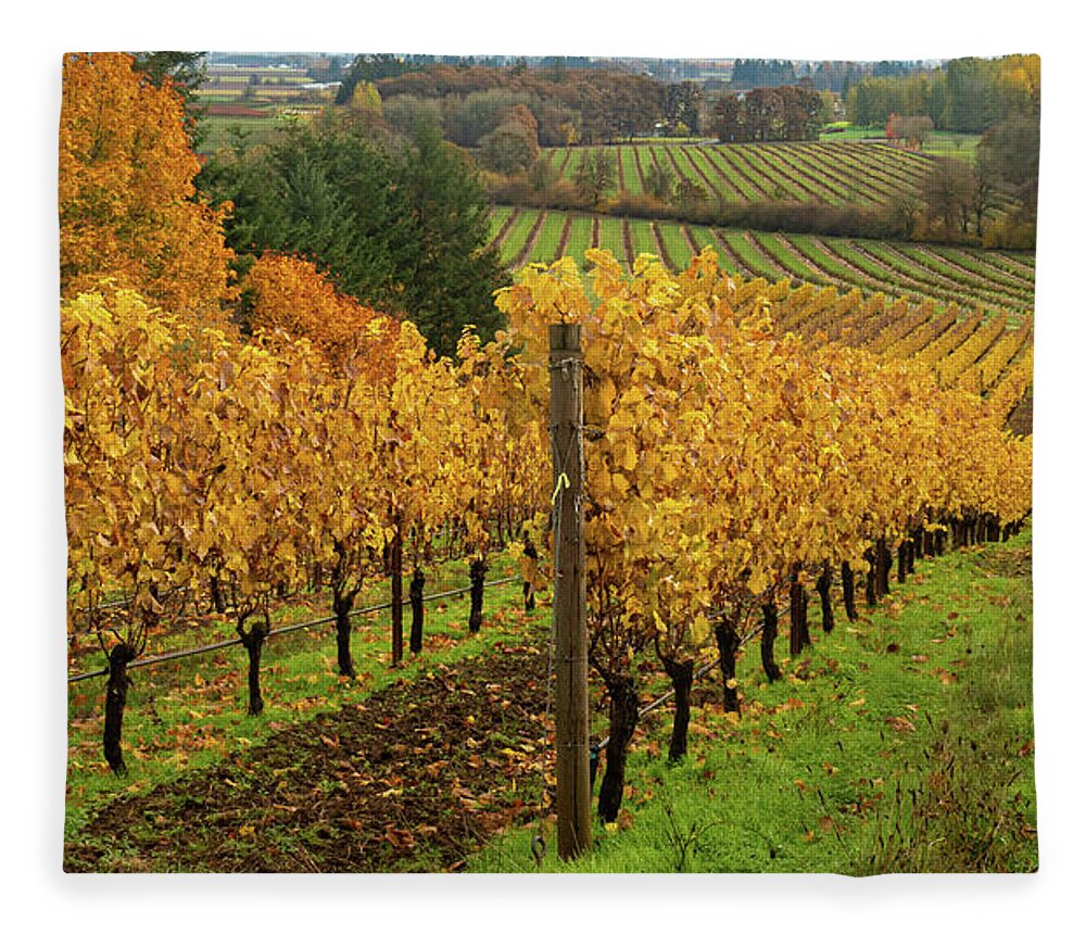 Vineyard Fleece Blanket featuring the photograph Patterns of Fall in the Vineyard by Leslie Struxness