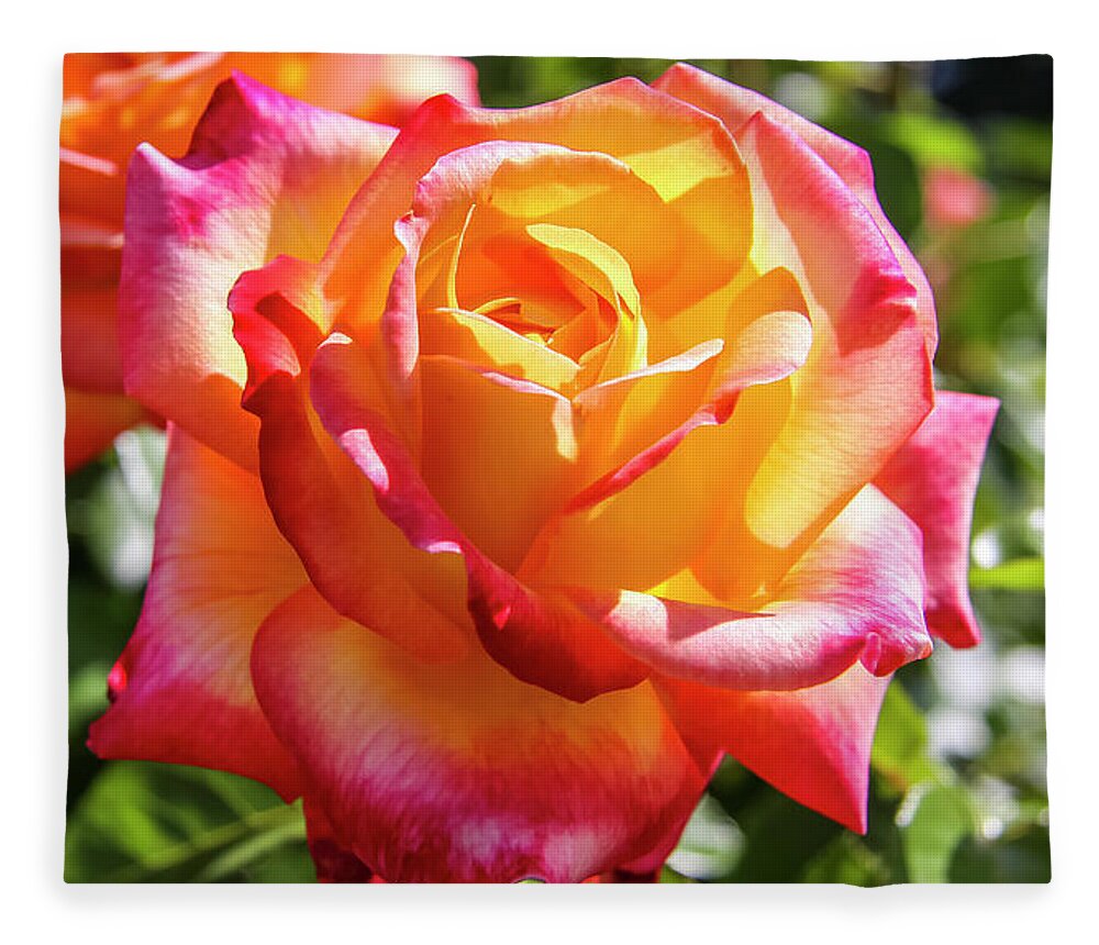 Apricot Fleece Blanket featuring the photograph Peaceful Rose by Dawn Richards