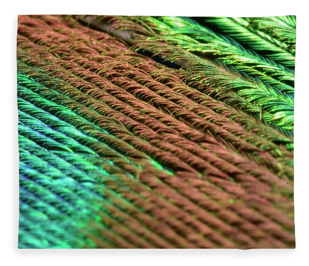 Peacock Feather Fleece Blanket featuring the photograph Peacock Feather by Neil R Finlay