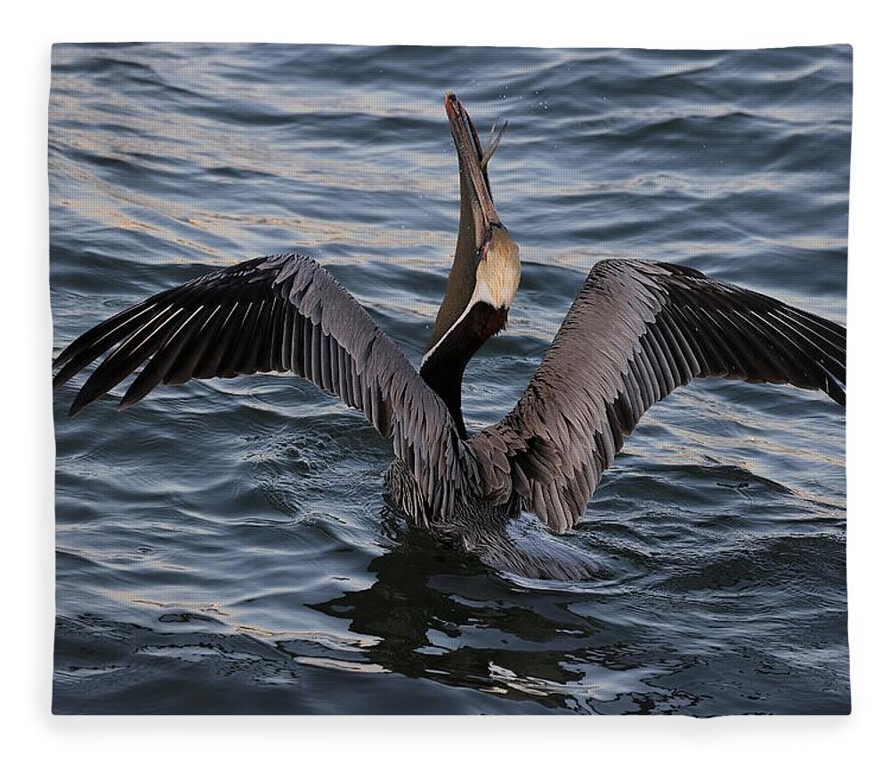 Pelican Fleece Blanket featuring the photograph Pelican enjoying a meal by Mingming Jiang