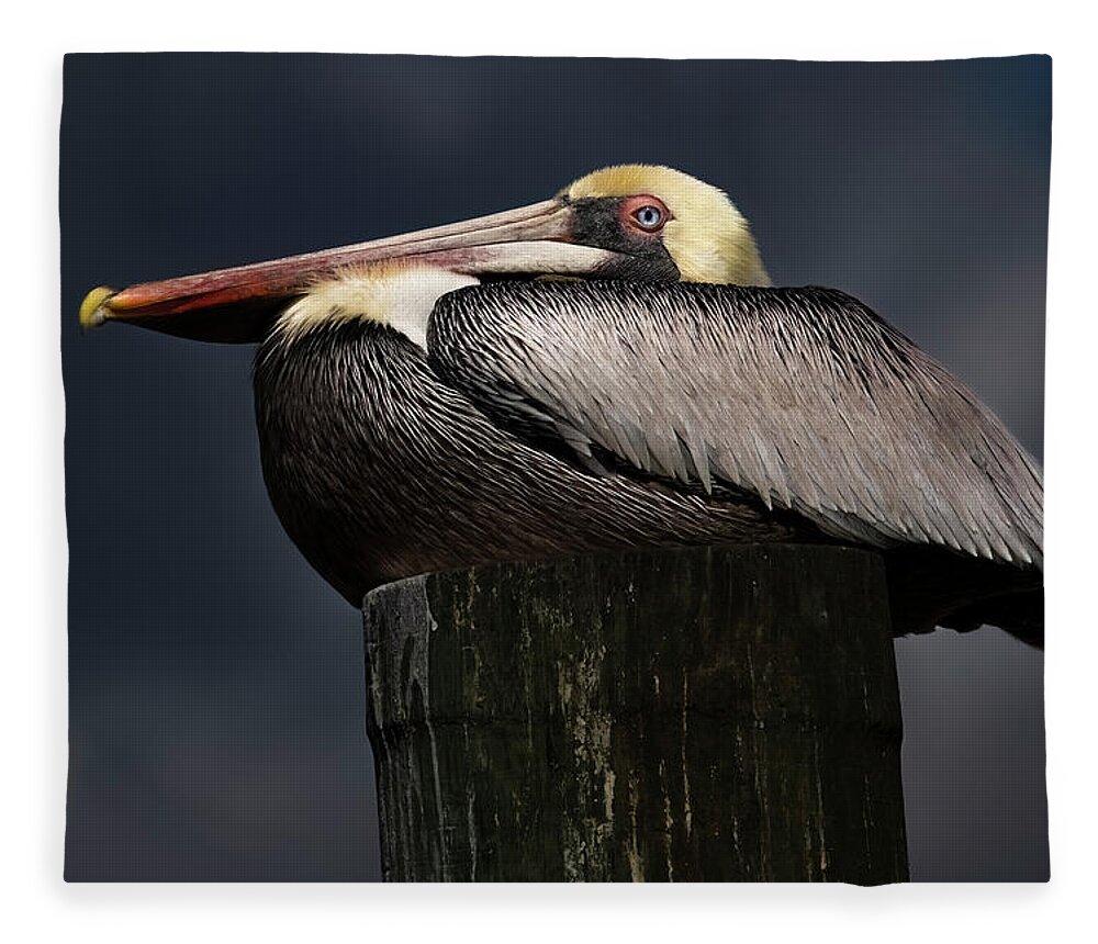 Birds Fleece Blanket featuring the photograph Pelican on a Pole by Larry Marshall