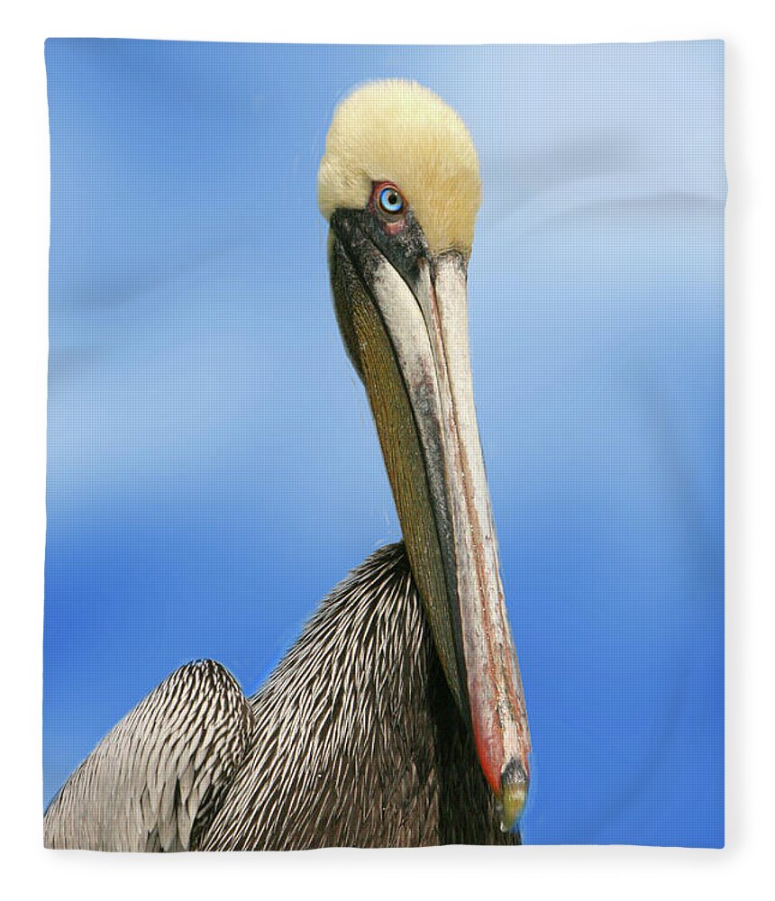 Nature Fleece Blanket featuring the photograph Pelican Portrait by Mariarosa Rockefeller
