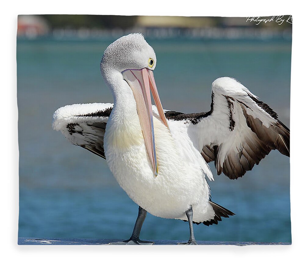 Pelicans Fleece Blanket featuring the digital art Pelican Tuncurry 590. by Kevin Chippindall