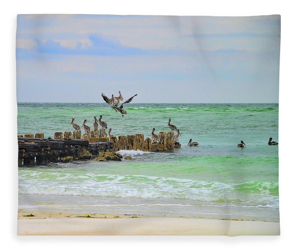 Pelicans Fleece Blanket featuring the photograph Pelicans in Florida by Alison Belsan Horton