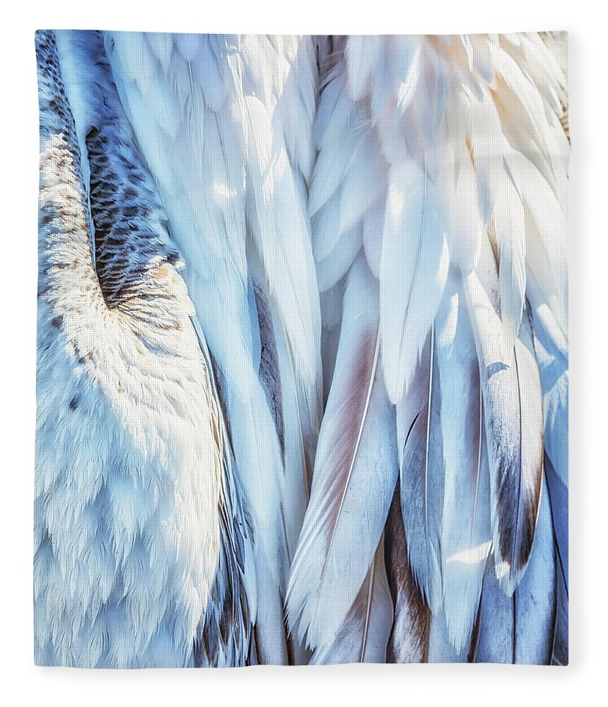 Plumage Fleece Blanket featuring the photograph Pelican's Plumage by Belinda Greb