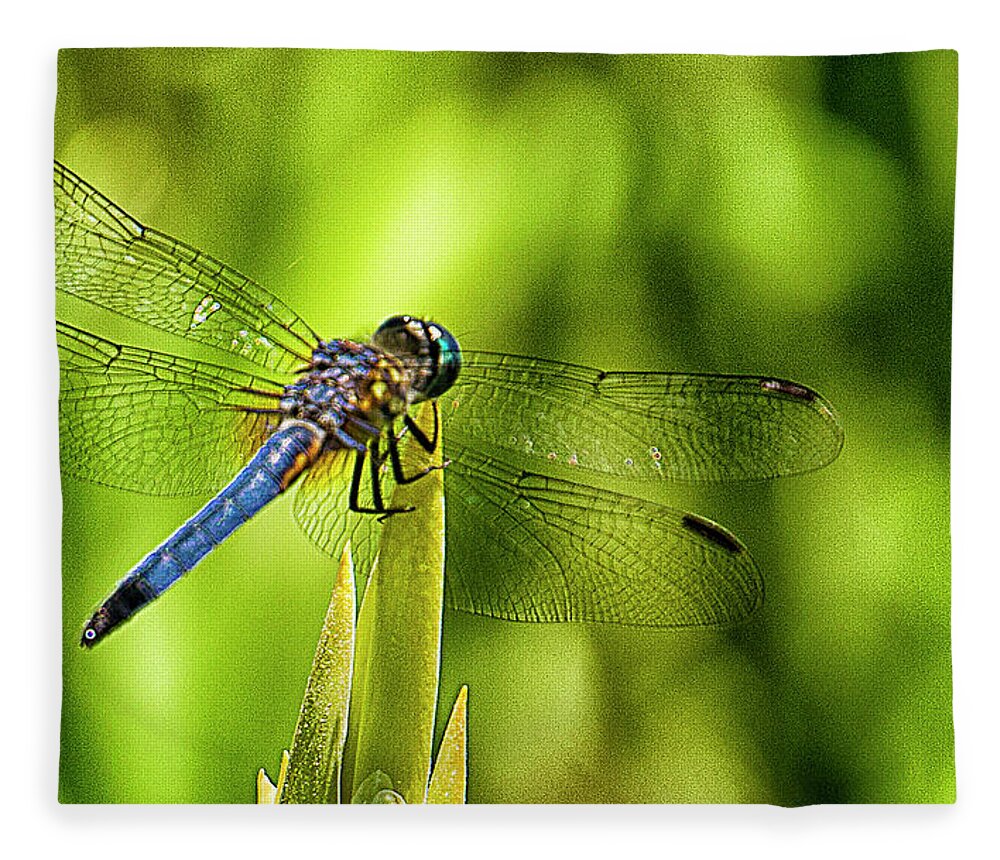 Dragonfly Fleece Blanket featuring the photograph Pensive Dragon by Bill Barber
