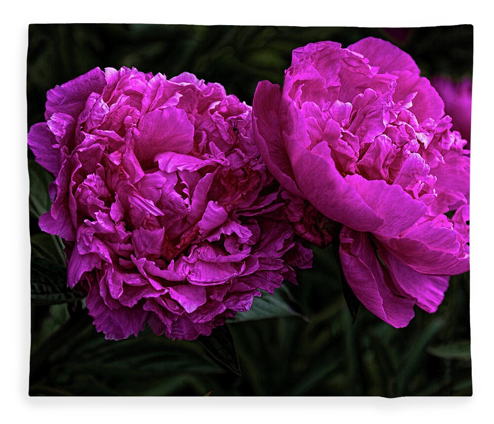 Flowers Fleece Blanket featuring the photograph Peonies by Elaine Teague