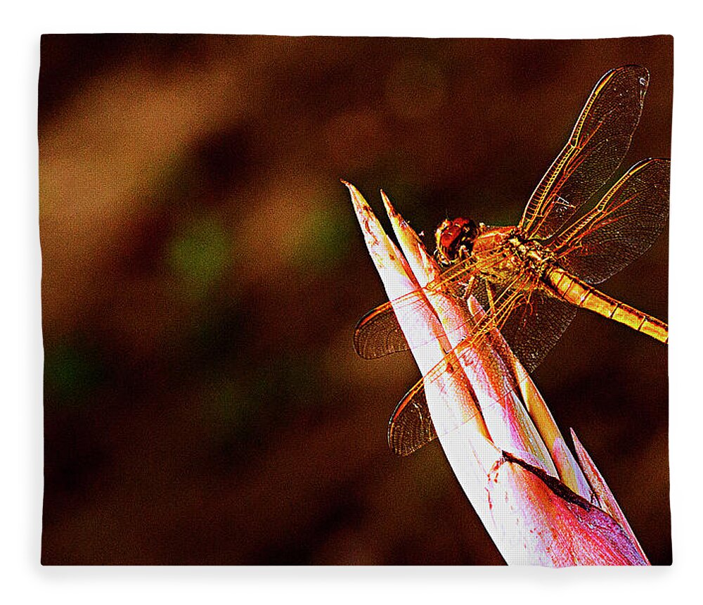 Dragonfly Fleece Blanket featuring the photograph Perching Dragon by Bill Barber