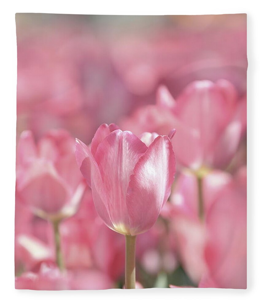 Nature Fleece Blanket featuring the photograph Perfectly Pink by Lens Art Photography By Larry Trager