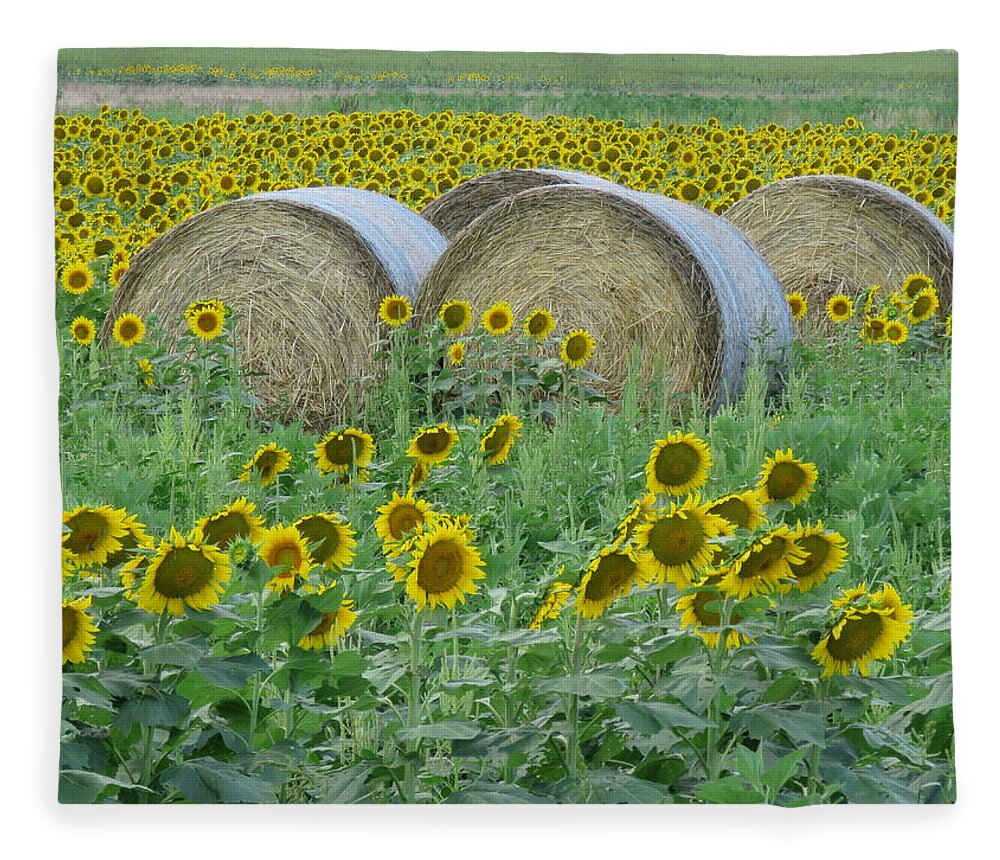 Peterson Farm Brothers Fleece Blanket featuring the photograph Peterson Farm Brothers Sunflower Trails by Keith Stokes
