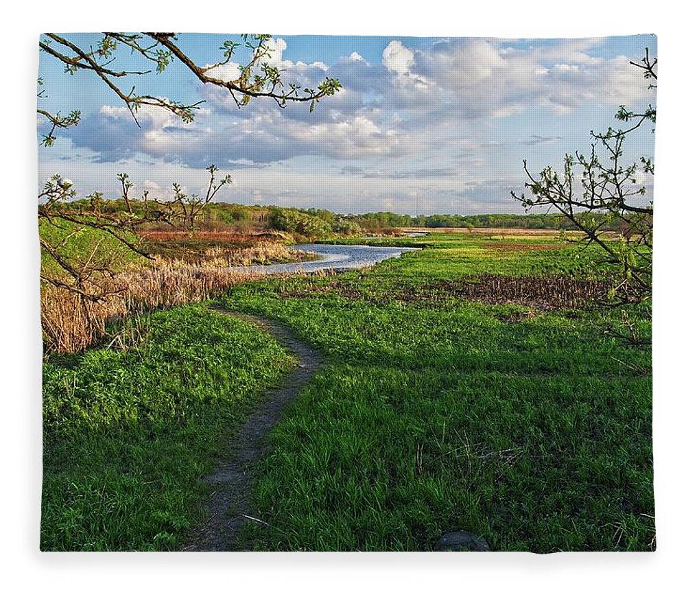 Middleton Fleece Blanket featuring the photograph Pheasant Branch Conservancy 3, Middleton, WI by Steven Ralser