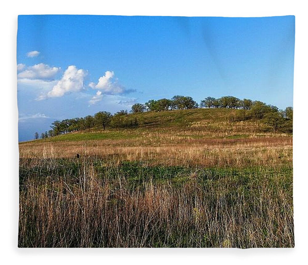 Middleton Fleece Blanket featuring the photograph Pheasant Branch Conservancy 1, Middleton, WI by Steven Ralser
