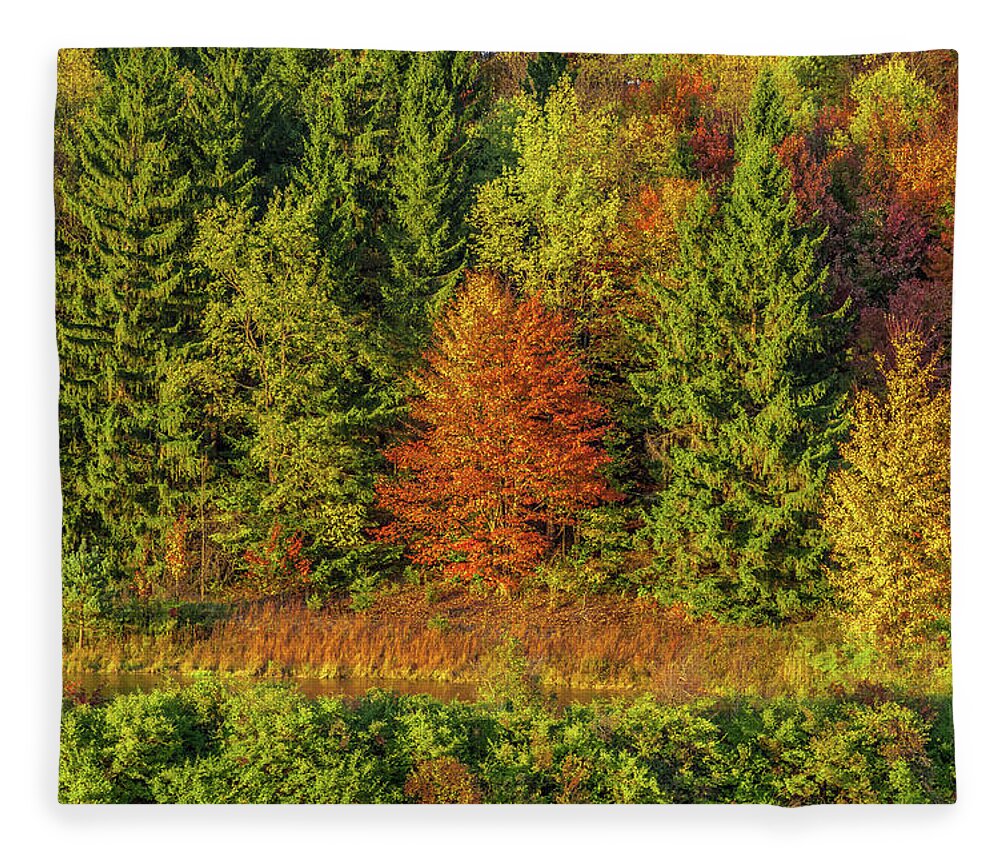 Autumn Fleece Blanket featuring the photograph Philip's Autumn Trees by Don Nieman