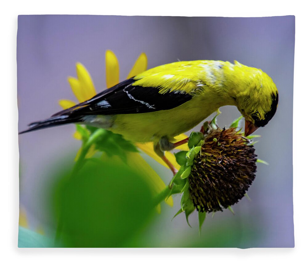 Bird Fleece Blanket featuring the photograph Picking Seeds by Cathy Kovarik