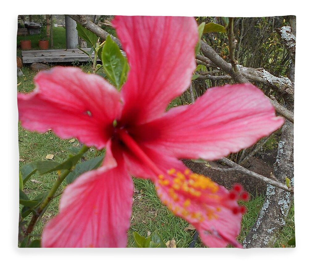 Pink Fleece Blanket featuring the photograph Pink Hibiscus by Nancy Graham