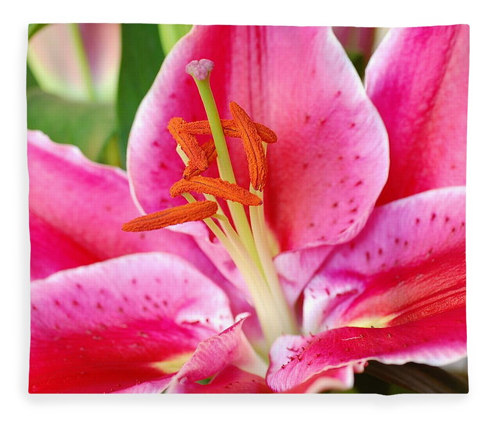 Lily Fleece Blanket featuring the photograph Pink Lily 3 by Amy Fose