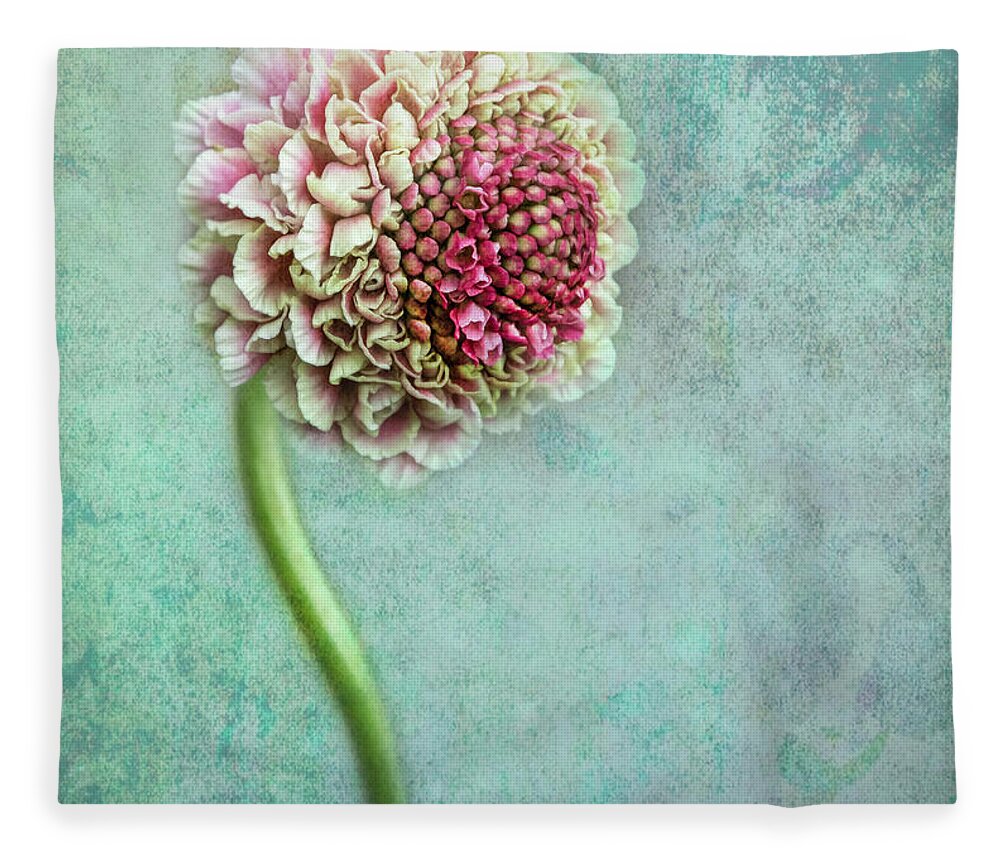 Flowers Fleece Blanket featuring the photograph Pink Pincushion by Shara Abel