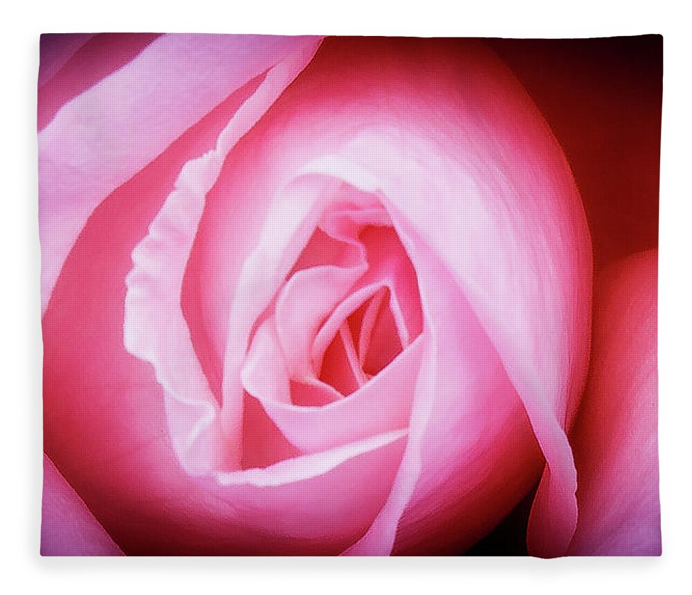 Pink Rose Fleece Blanket featuring the photograph Pink Rose by David Morehead
