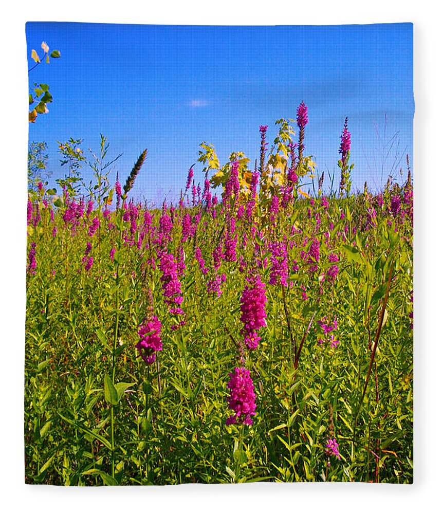 Fox Gloves Fleece Blanket featuring the photograph Pink Summer Flowers In The Prairie - Fox Gloves by Frank J Casella