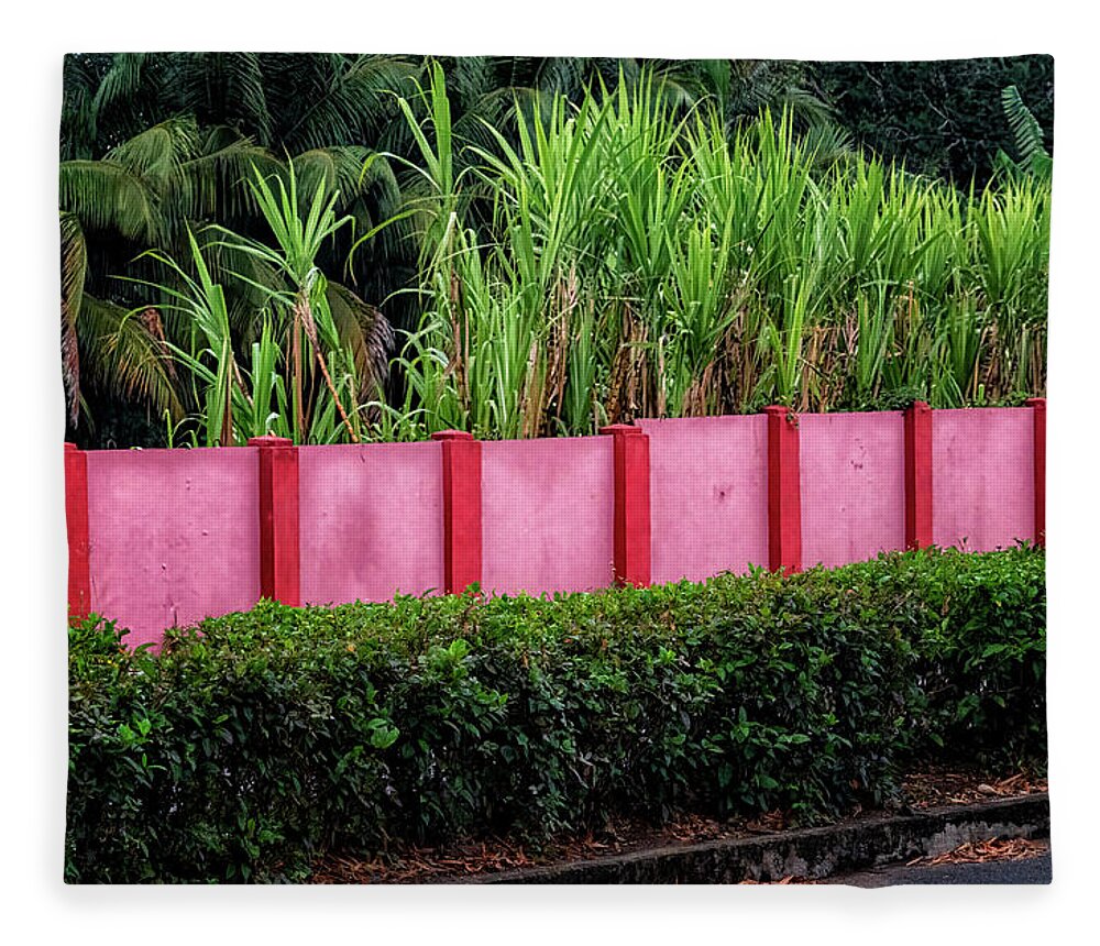 Havana Cuba Fleece Blanket featuring the photograph Pink Wall by Tom Singleton